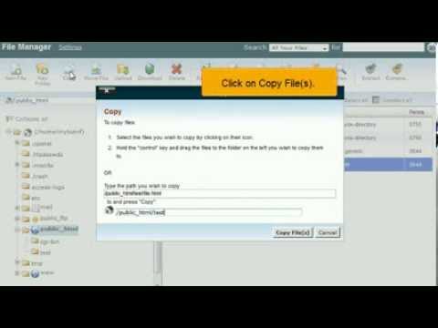 How to copy and move files in File Manager