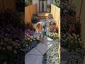 This Tiny Backyard Turned Into a Dream Garden