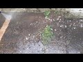 Pressure washing a concrete backyard - Very satisfying!