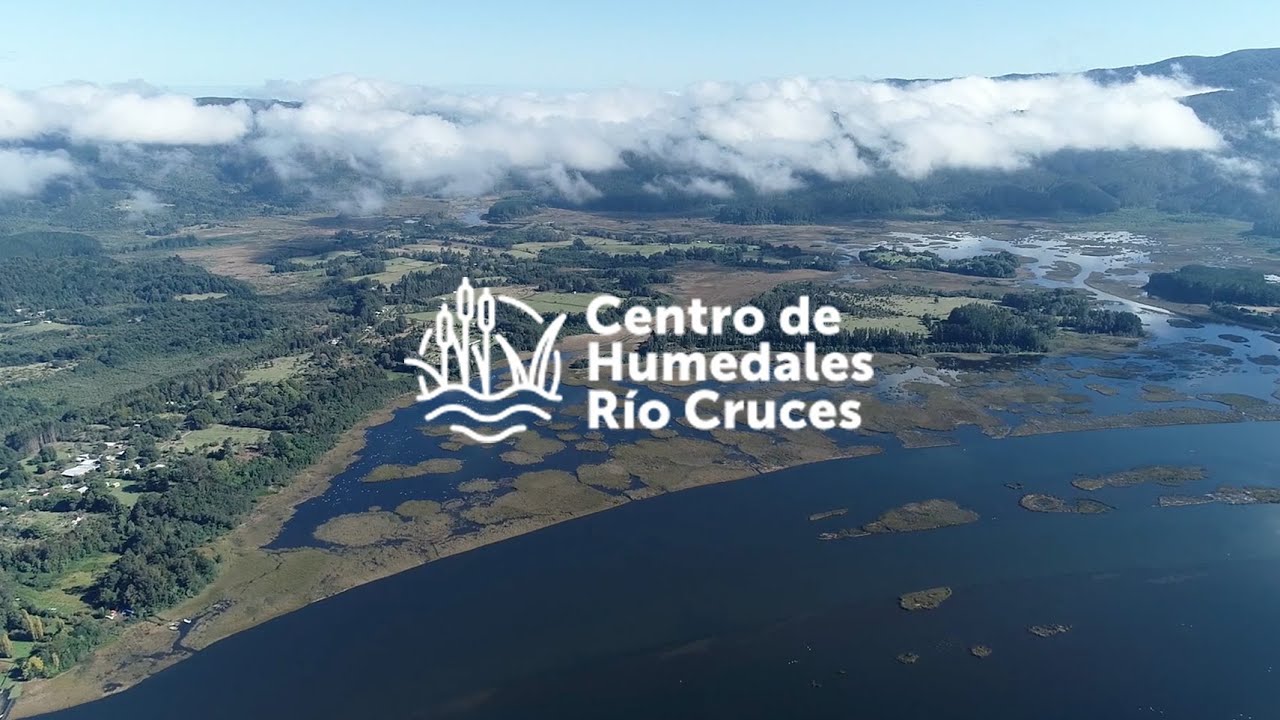 Fluvialito 2020: Centro de Humedales Río Cruces