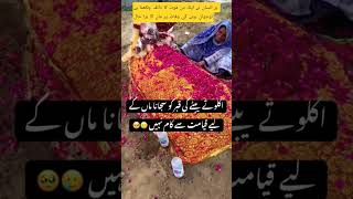 Allah pak Walden ko Jawan bete ki maut na dikhayen#hijab #love #live #allahpak