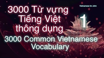 3000 Từ vựng Tiếng Việt Thông dụng: Phần 1/80% giao tiếp hàng ngày