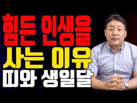 힘든 인생을 사는 이유 띠와 생일달 - 사주풀이 명리학 주역 철학 작명상담 금성법사 사주도사
