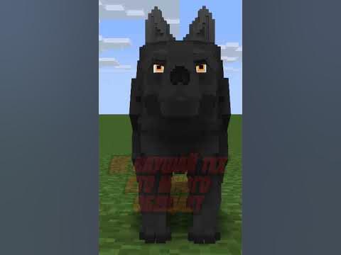 Цитаты от волка в Майнкрафте #майнкрафт #мем #shorts - YouTube
