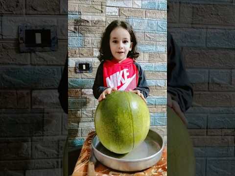 بطيخة انوس انس     2025 