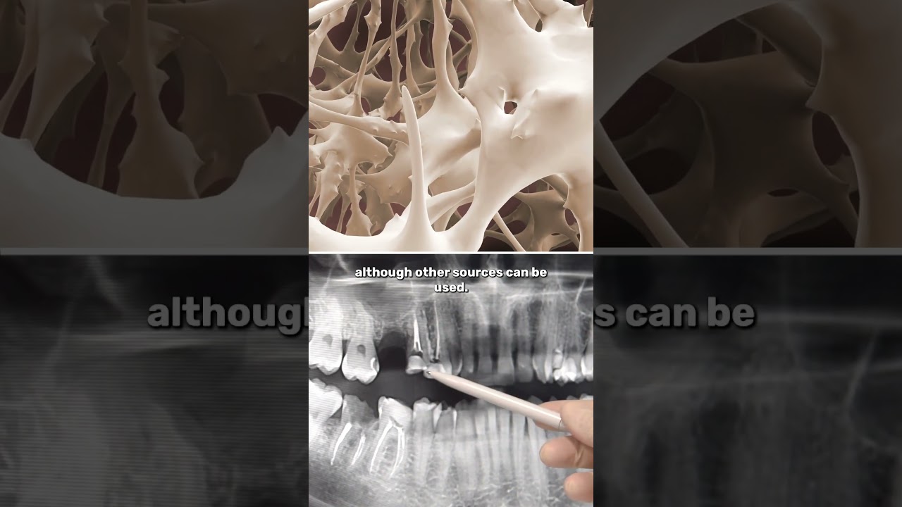 True Crime in Science - DNA and forensic anthropology