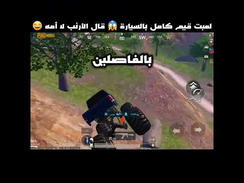 لعبت قيم كامل بالسيارة قال الأرنب لا أمه