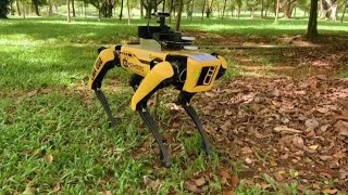 VIDEO: COVID-19 robot enforces social distancing
