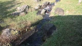 森のやかた湯ったり館 屋外 フルＨＤノーカット Mori no Yakata Yuttarikakan Outdoors (Kagoshima Prefecture)