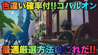 【決定版】コバルオンの色厳選はコレだ！【ポケモンZA】
