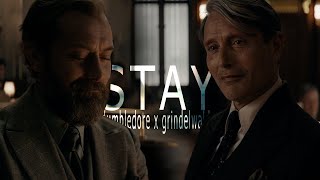 Dumbledore & Grindelwald | Stay