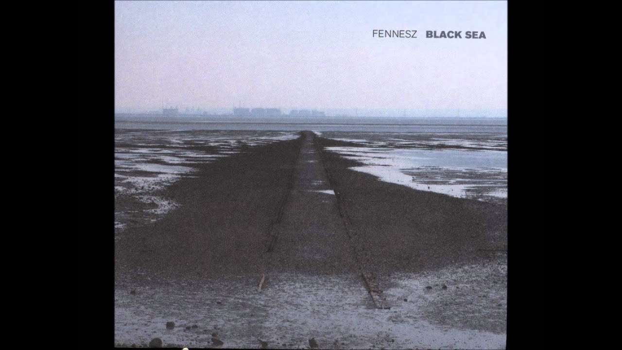 Fennesz (Guitar/Ambient/Glitch/Experimental) - MUZICKI-FORUM [read