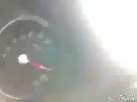 يا ليليه يا ليلا