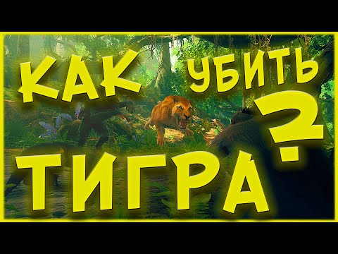 Видео: Как да се грижим за домашен гекон: 11 стъпки (със снимки)