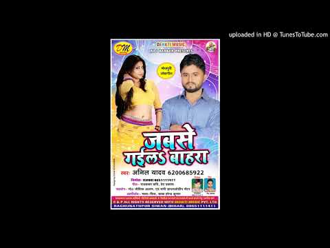 #Anil Yadav ,jabse Gaila Raja Bahara 2018