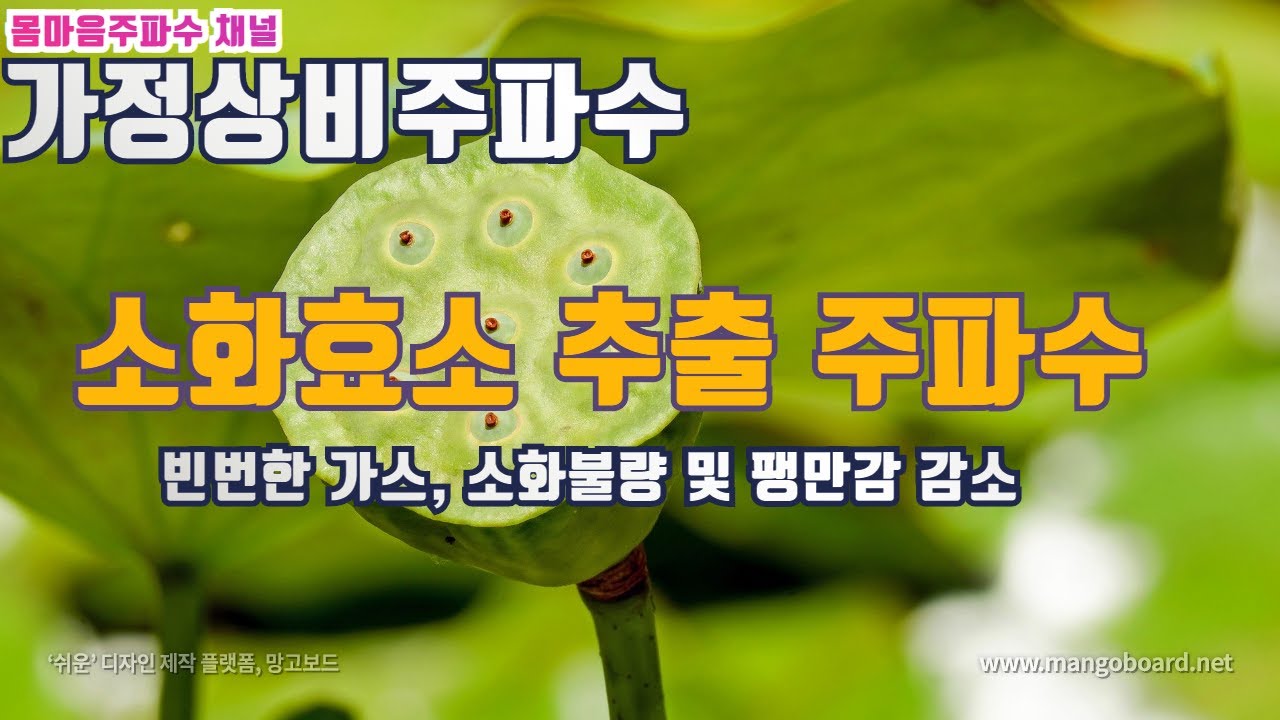 New 🍒가정 상비 주파수 음악 -- 종합 효소 소화제 ㅣ빈번한 가스ㅣ 소화불량ㅣ팽만감 감소ㅣSynthetic enzyme digestive agent