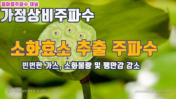 ?가정 상비 주파수 음악 --  종합 효소 소화제 ㅣ빈번한 가스ㅣ 소화불량ㅣ팽만감 감소ㅣSynthetic enzyme digestive agent