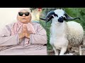 فضيحة رقية لفراقشية وعيد الأضحى