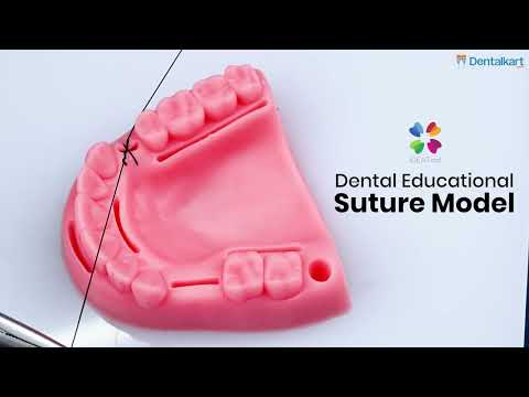 Figure of 8 Suture Explained –  Learn Suturing Techniques