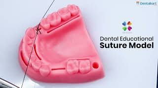 Figure of 8 Suture Explained –  Learn Suturing Techniques