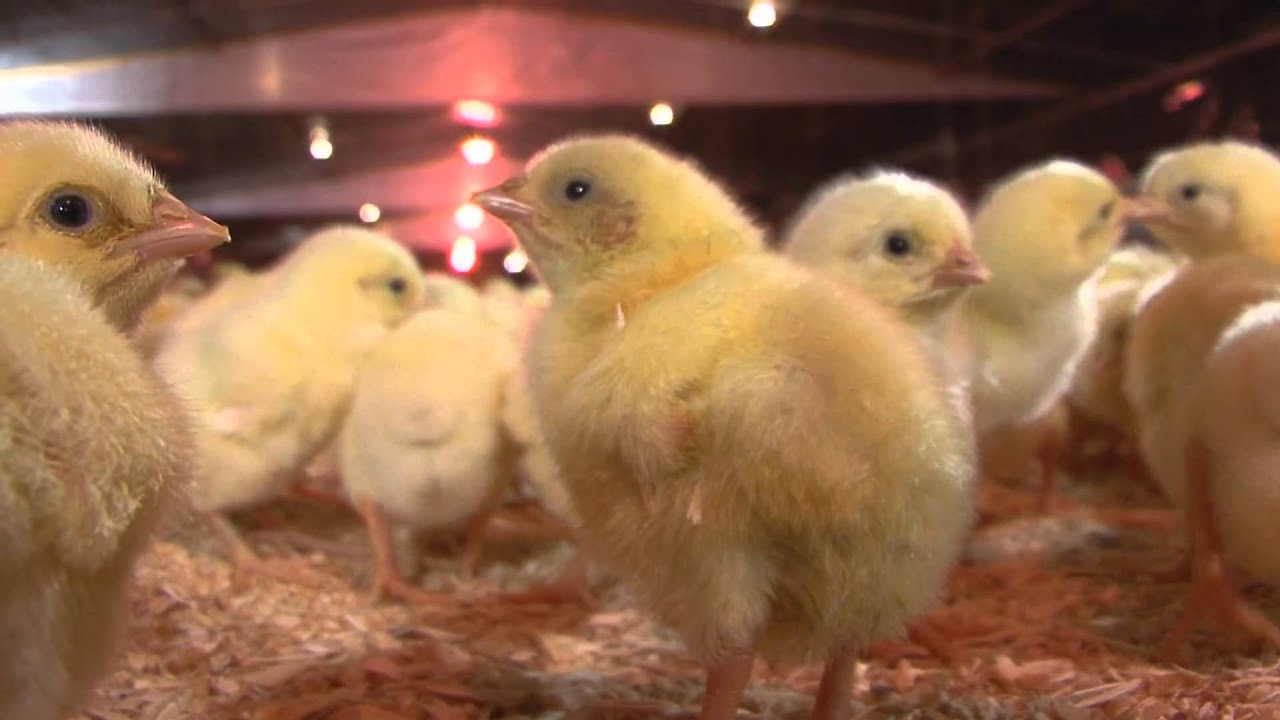 "Future of Farming" TV spot