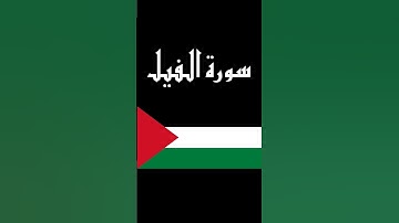 سورة الفيل بصوت القارئ أحمد العجمي