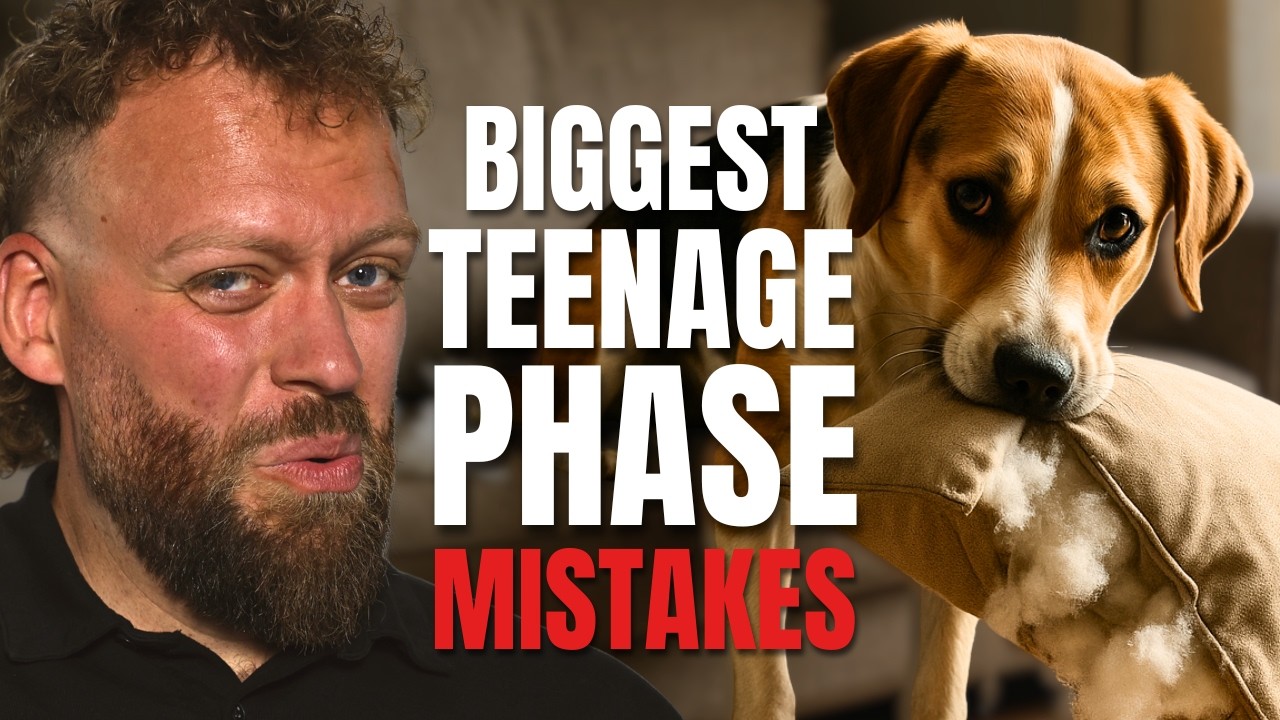 Surviving the Teenage Phase: What Most Owners Get Wrong!