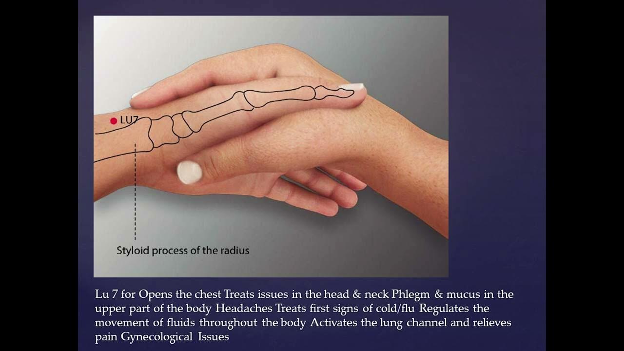 lung meridian acupuncture points YouTube