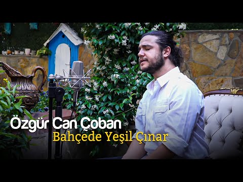 Özgür Can Çoban - Bahçede Yeşil Çınar