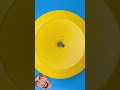 Like if you love endless spinning loops! #asmrvideo