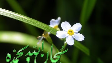 تلاوة رائعة سورة الصف - الشيخ صالح ال طالب www.qoranet.net