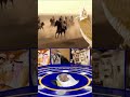 شيلة ابشر ابشر ياملكنا المصمم الوطني خادم الحرمين الشريفين سلمان بن عبد العزيز محمد بن سلمان