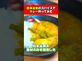 日本のスパイスだけでカレー作れるの?