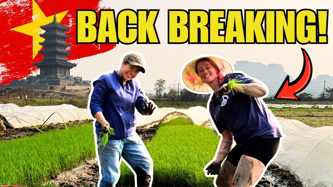Back-Breaking Work in Vietnam 🇻🇳 | Did We Survive Rice Farming With Locals?