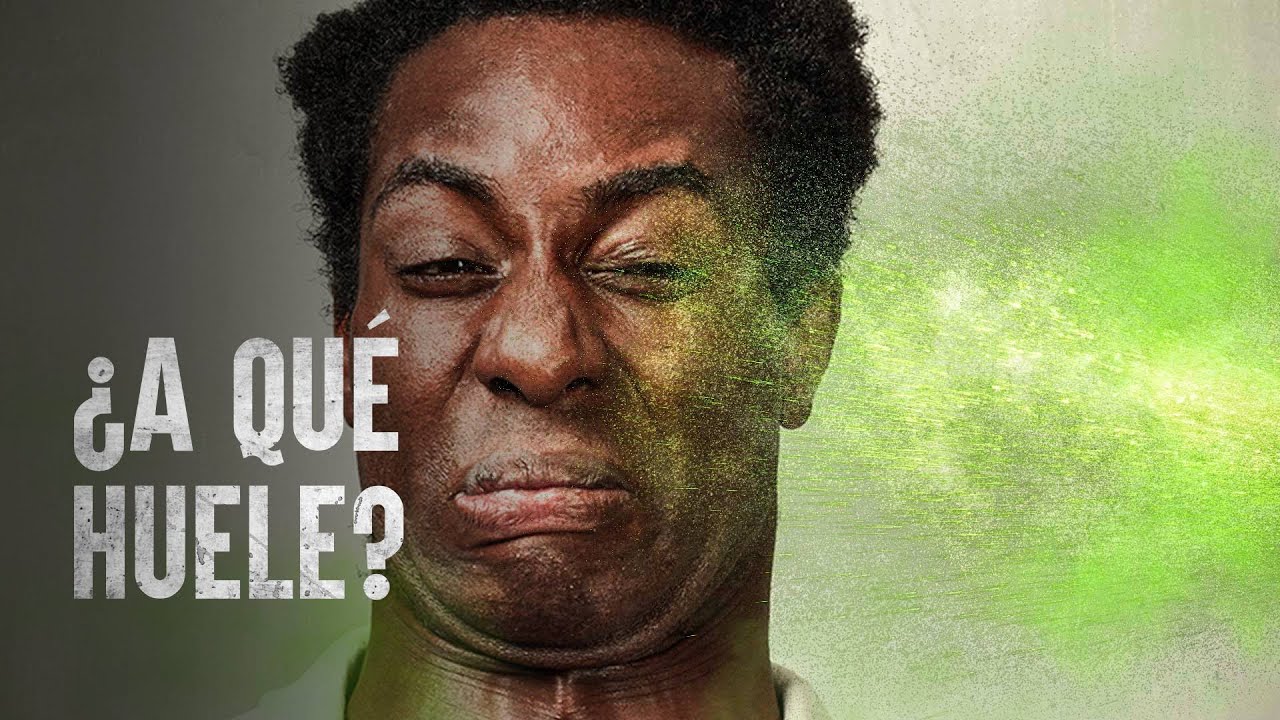 Cómo Sobrevivir el ataque de un zorrillo