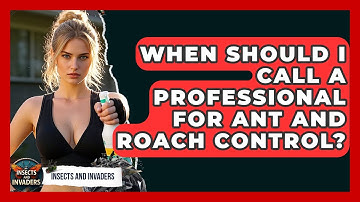 When Should I Call A Professional For Ant And Roach Control? - Insects and Invaders