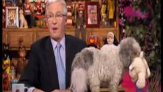 2008 in British Television - A Montage