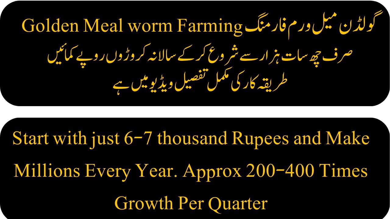 Vlog Golden Meal Worm Farming | Start with 5000 Rs and Make Millions Every Year