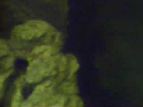 cold brew coffee Reptile Room Tanks