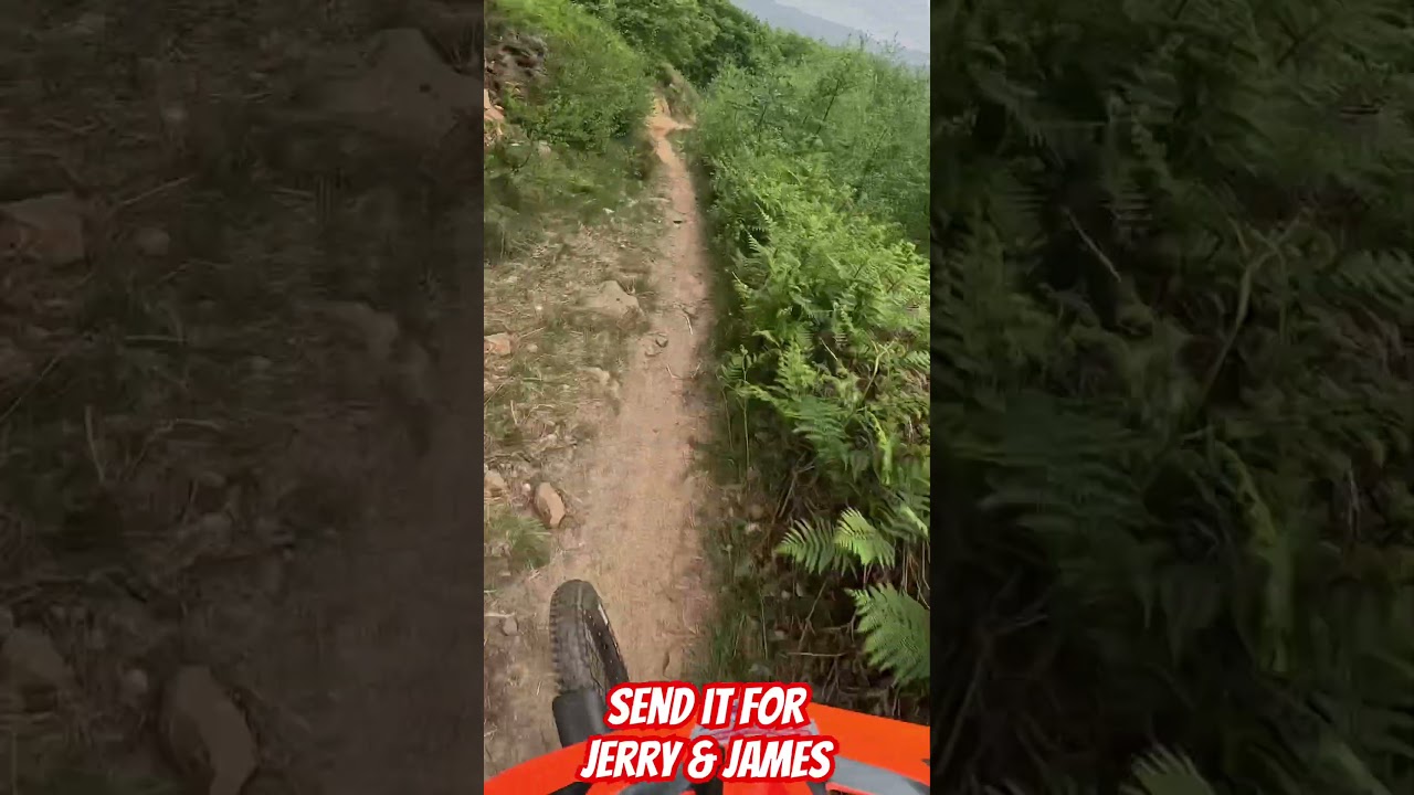 Send it for Jerry & James 