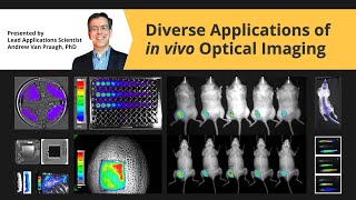 Diverse Applications of In Vivo Optical Imaging