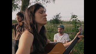 Black Sea Dahu – Transience (Acoustic in Lille) chords