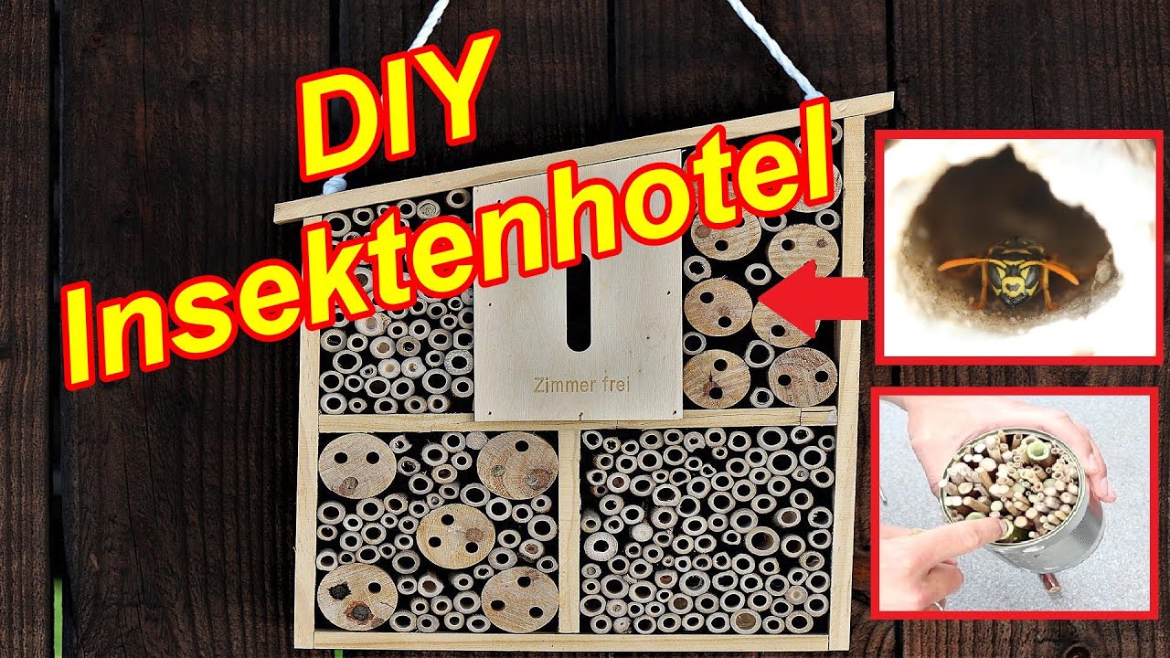 300 Stck Wildbienen Nisthlsen 15cm  Bambus-Rhren Nachfllpack Fr  Insektenhotel