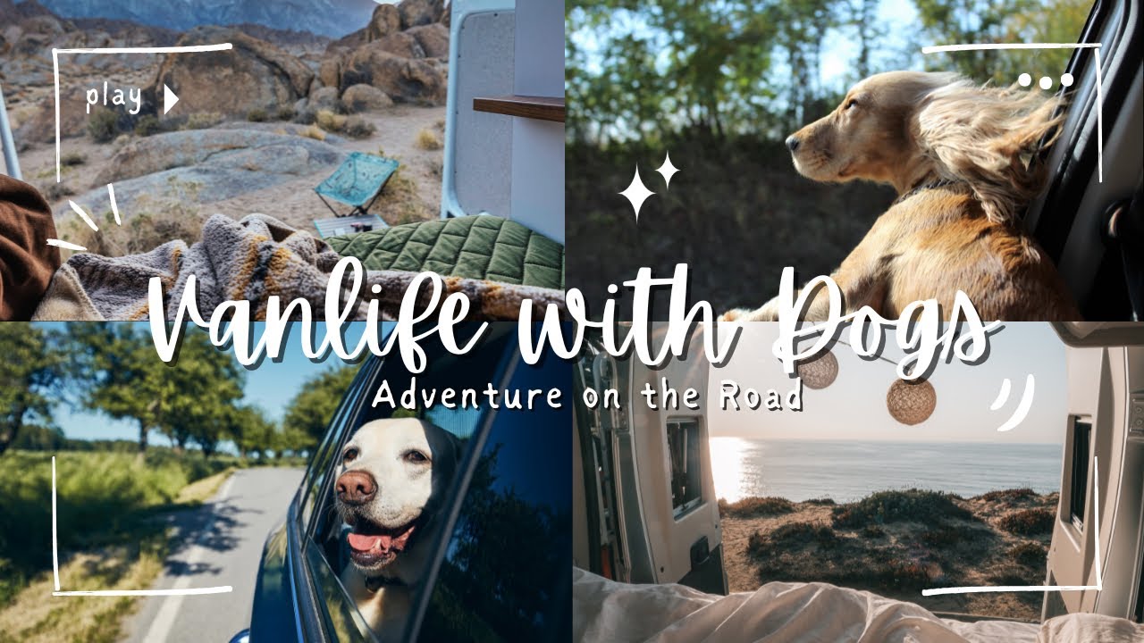 Living Off the Grid in Suburbia - Suburbia Off-Grid Townhouses