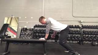 Quadruped Single Arm Row