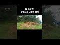 밥 먹으라고 부른 게 사람이 아니었어? #shorts