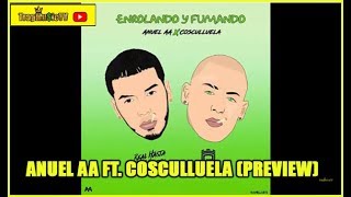 Anuel AA Ft. Cosculluela - Enrolando & Fumando (Official Preview)