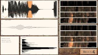 BECCA listens for sound effects in The Hobbit