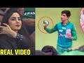 Watch naseem shah taking phones from cute girls and won everyone hearts in pak vs eng final match