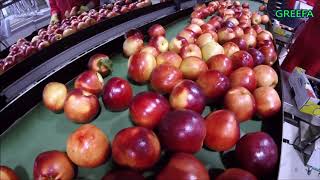 Greefa Stone Fruit Illuminati Frutta